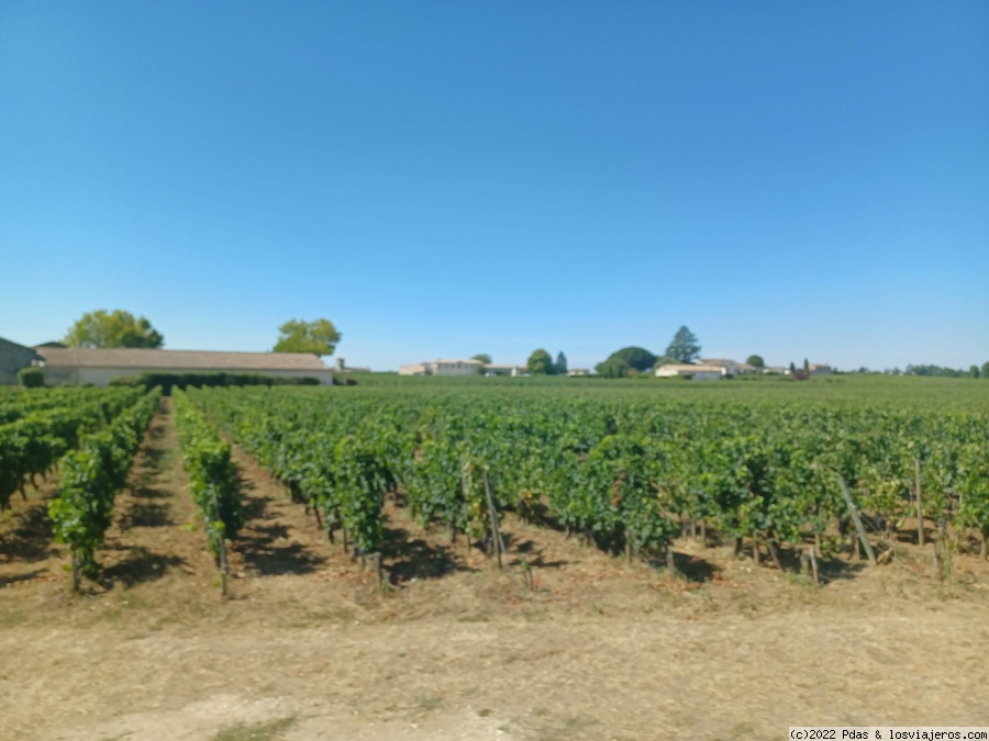 Burdeos y alrededores en 4 días - Blogs de Francia - Saint Emilion (1)