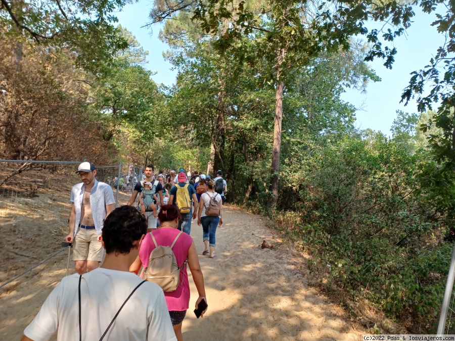 Arcachon - Burdeos y alrededores en 4 días (1)