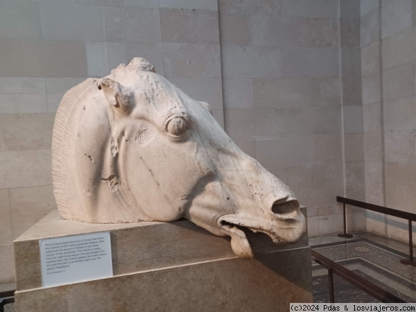 Cabeza caballo Partenon
Partenon
