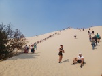 Escalera para subir duna