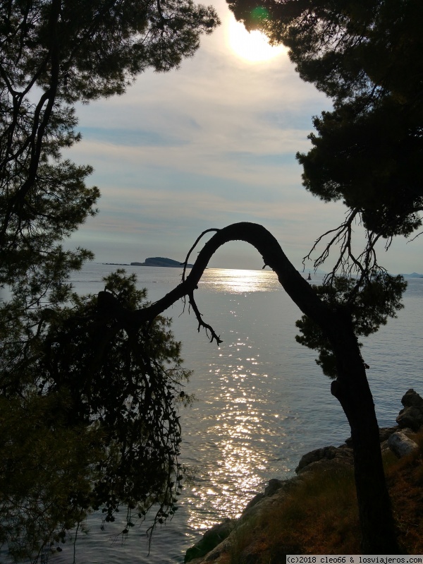 Paseando por Croacia - Blogs de Croacia - Dubrovnik y alrededores (2)