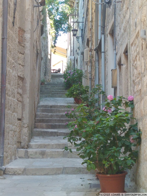 Paseando por Croacia - Blogs de Croacia - Dubrovnik (5)