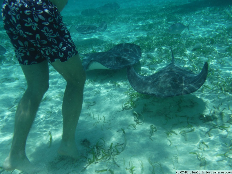 BELICE – CAYE CAULKER: GO SLOW, todo poco a poco - LO MEJOR DE GUATEMALA: POR TIERRAS DE VOLCANES Y LAGOS (2)