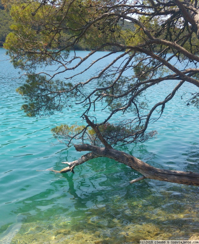 Isla Mljet - Paseando por Croacia (6)