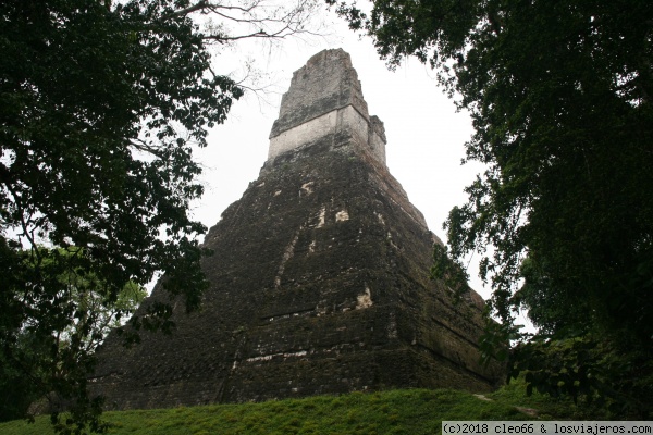 Tikal
Tikal
