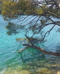 lago
Mljet, lago