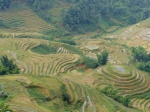 Sapa