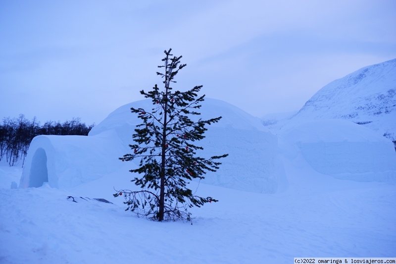 4 de Enero: Las cúpulas de hielo - Fin de Año 2021 en Noruega (3)