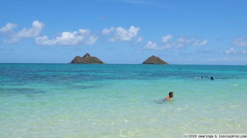 Hawaii - Dos islas en una semana - Blogs de USA - Templos y playas paradisíacas (4)