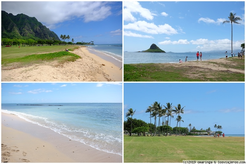 Hawaii - Dos islas en una semana - Blogs of USA - Templos y playas paradisíacas (2)