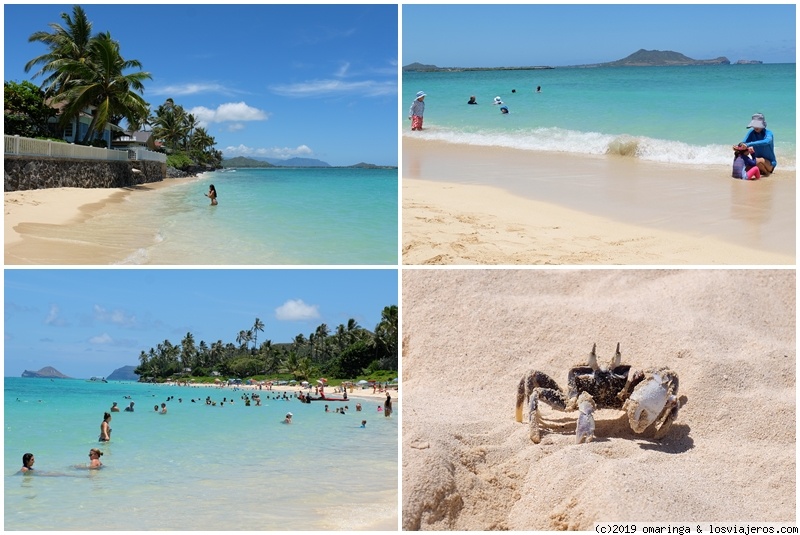 Hawaii - Dos islas en una semana - Blogs of USA - Templos y playas paradisíacas (5)