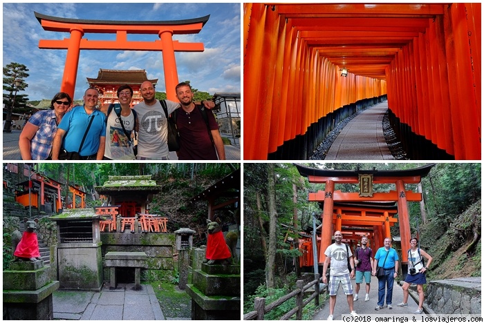 Japón en Verano 2017: el viaje de las experiencias. - Blogs of Japan - Ciervos y Toriis (7)