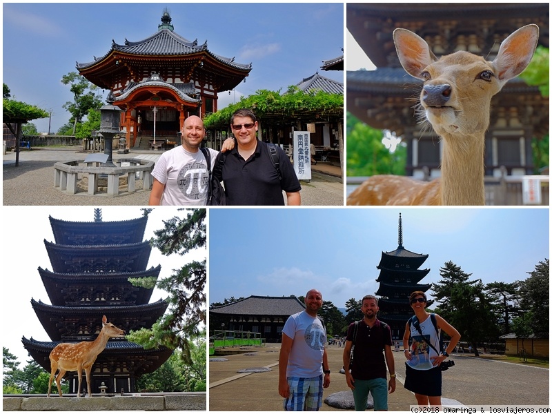 Japón en Verano 2017: el viaje de las experiencias. - Blogs of Japan - Ciervos y Toriis (2)