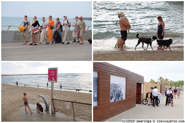 Playas de Tel Aviv
.
