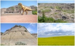 Horseshoe Canyon y campos de Canola