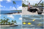 Pu'uhonua O Hōnaunau National Historical Park