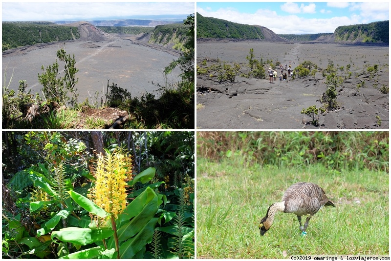 Hawaii - Dos islas en una semana - Blogs de USA - Parque Nacional Volcano (3)