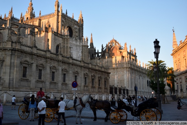 Atardecer en la Catedral
Sevilla

