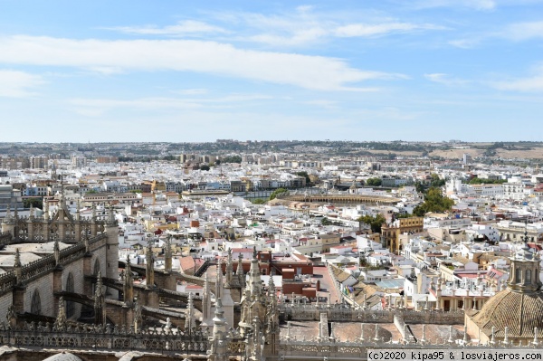 Vistas desde la Catedral
Sevilla
