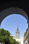 Giralda desde la Juderia
Giralda, Juderia, desde