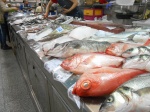 Plaza de Lugo
Plaza, Lugo, mercado, pescado