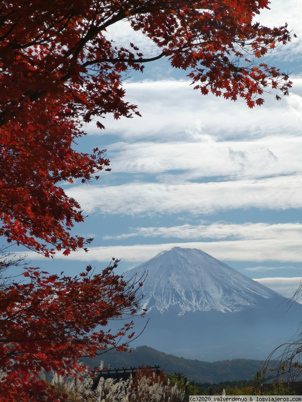 Dia 2: Excursión al Fuji y los 5 Lagos - Disfrutando Japón (En Construcción) (2)