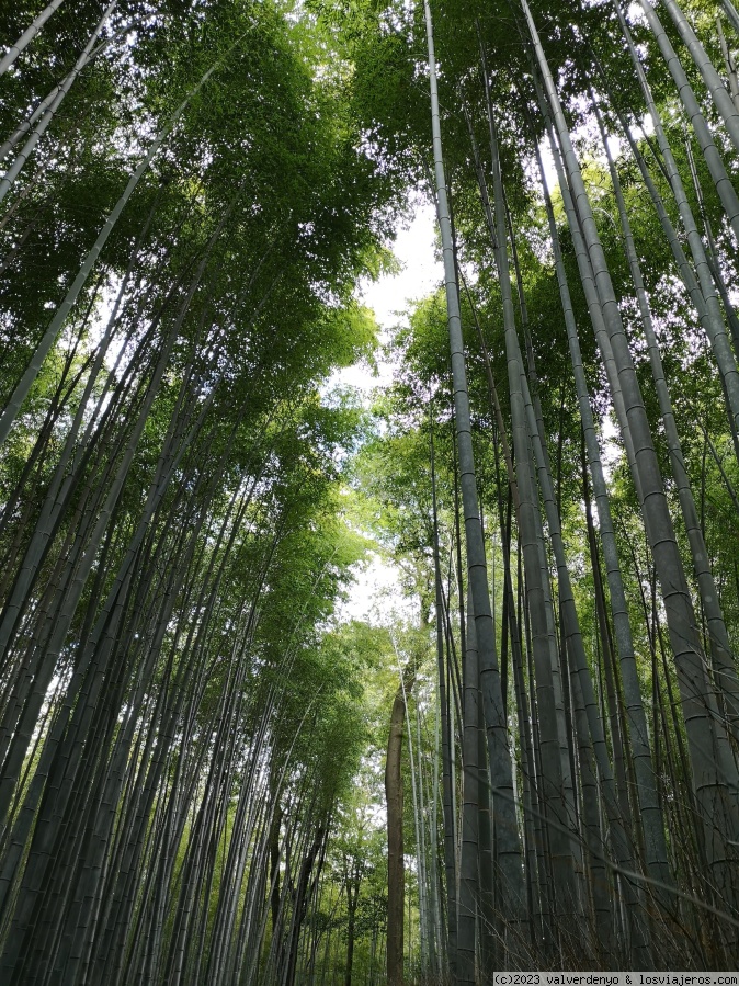 Día 9: Kyoto. Atravesando Kyoto de Arashiyama a Kiyomizude-ra - Disfrutando Japón (En Construcción) (1)