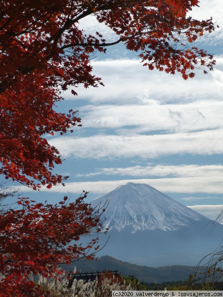 Fuji desde Iyashi No Sato
Vistas del Monte Fuji desde Iyashi No Sato
