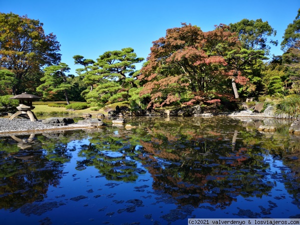 Viajar a Tokio en verano: Novedades 2022 - Tokio 2021: Art Aquarium, Museo de Arte Metropolitano ✈️ Foro Japón y Corea