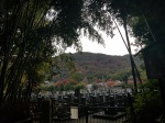 A través de Arashiyama