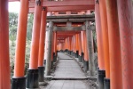 Camino de Toriis en Fushimi Inari