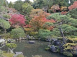 Jardines del Ginkaku-ji
Ginkakuji, jardines, Momiji, Kyoto, Japon