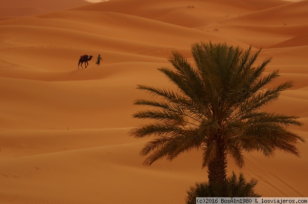 Erg Chebbi (Merzouga)
Buscando oasis
