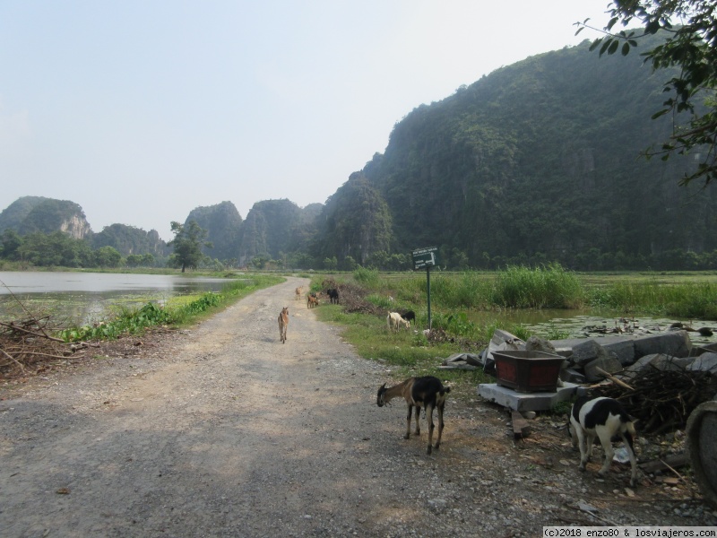 día 11 - Ninh Binh - 3 semanas, mochila a la espalda, por Vietnam (4)