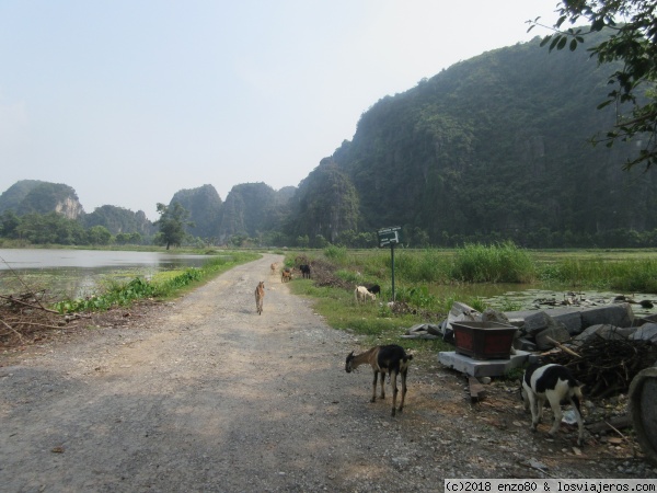 Ninh Binh
paisajes
