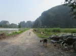 Ninh Binh
Ninh, Binh, paisajes