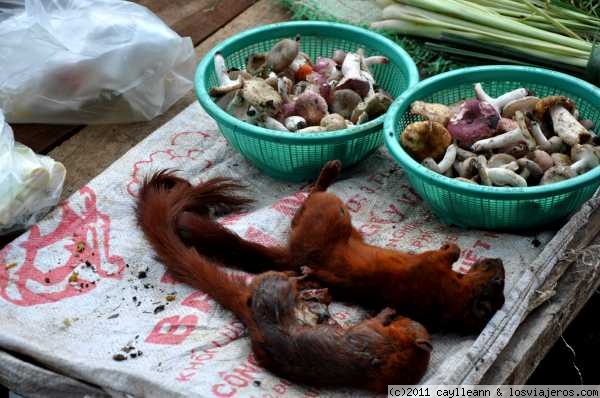 Ardillas
En los mercados de Laos puedes encontrar casi cualquier cosa
