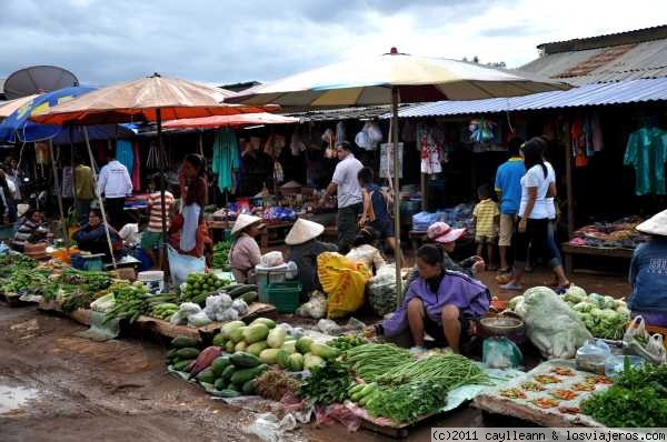 Mercado
Mercado local, en el sur de Laos
