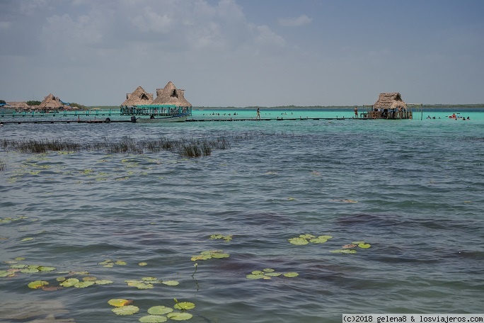 Visitar Laguna Bacalar (7 colores) en Costa Maya (México) - Foro Riviera Maya y Caribe Mexicano