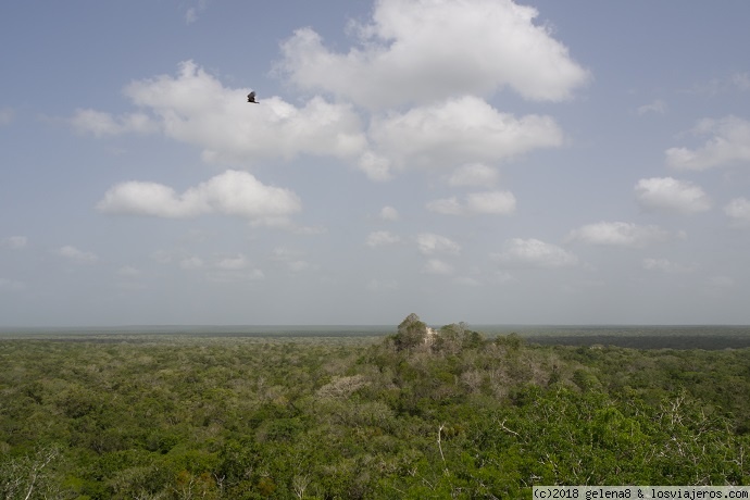 Calakmul - Roadtrip en familia por la península de Yucatán (14 días) (1)