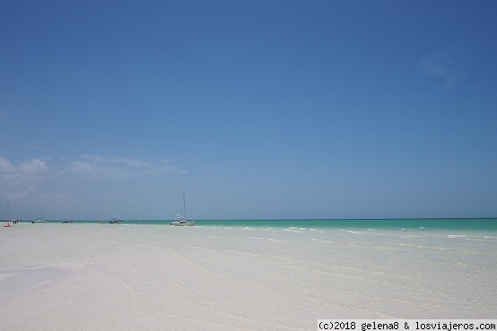 Roadtrip en familia por la península de Yucatán (14 días) - Blogs of Mexico - Cancún y Holbox (1)