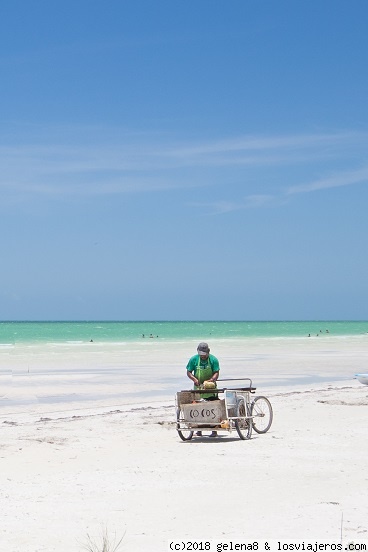 Roadtrip en familia por la península de Yucatán (14 días) - Blogs de Mexico - Cancún y Holbox (2)