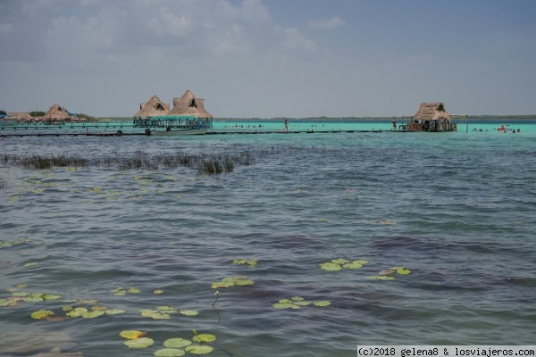 Visitar Laguna Bacalar (7 colores) en Costa Maya (México) - Foro Riviera Maya y Caribe Mexicano