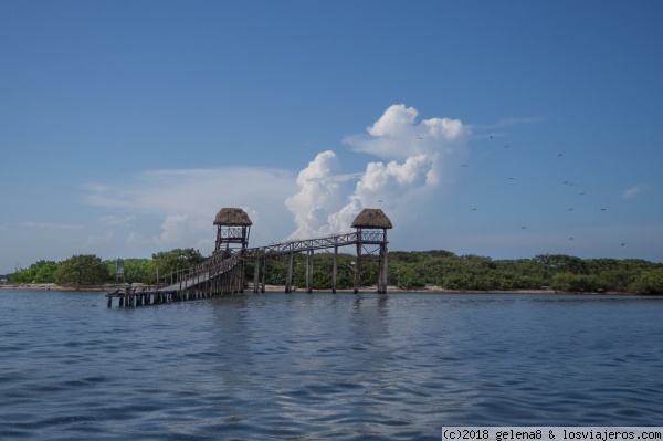 Roadtrip en familia por la península de Yucatán (14 días) - Blogs of Mexico - Cancún y Holbox (4)