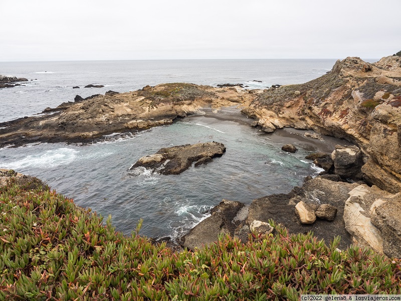 Día 4 - Big Sur - Road Trip por la Costa Oeste con adolescentes (2)