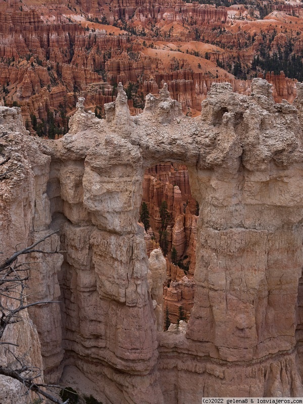 Road Trip por la Costa Oeste con adolescentes - Blogs de USA - Día 9 - Bryce Canyon (2)