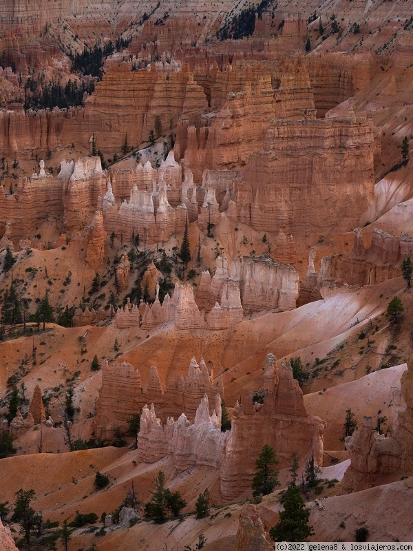 Día 9 - Bryce Canyon - Road Trip por la Costa Oeste con adolescentes (4)