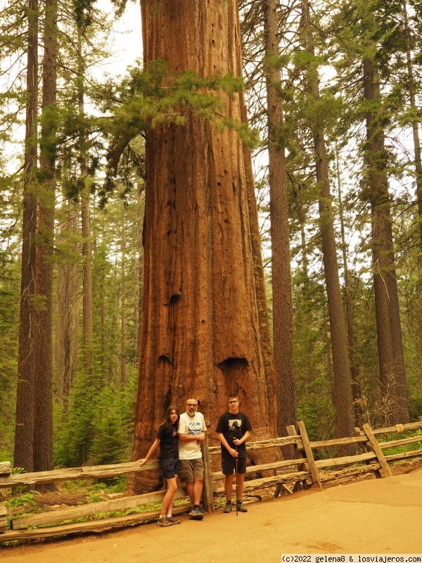 Día 15: Yosemite - Road Trip por la Costa Oeste con adolescentes (4)