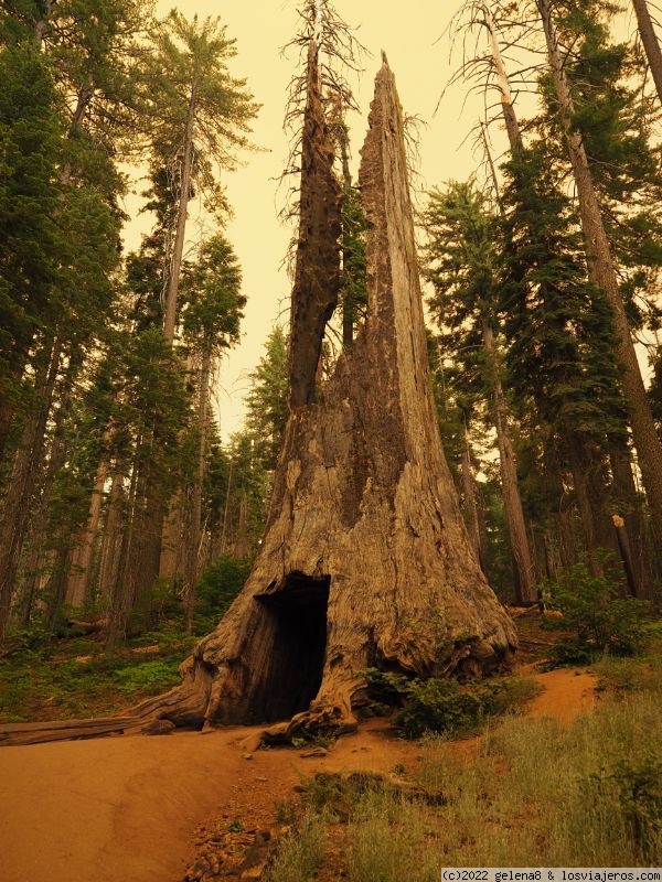 Día 15: Yosemite - Road Trip por la Costa Oeste con adolescentes (5)