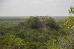 Calakmul
Calakmul,Yucatán,México,ruinas